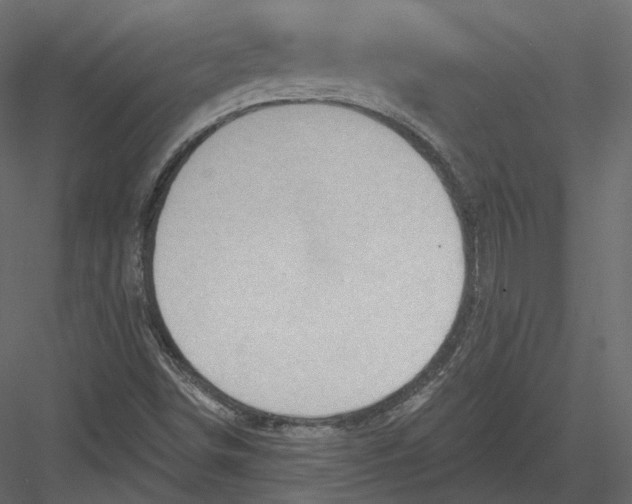 X0000082961498200702222326