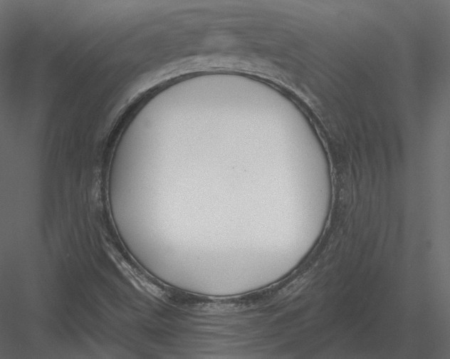 X0000082961499200702222326