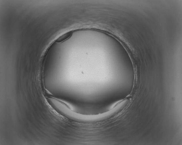 X0000082961500200702222326