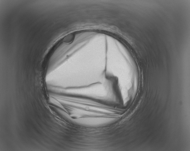 X0000082961501200702222326