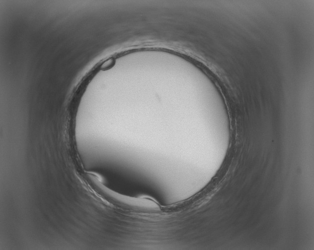 X0000082961502200702222326