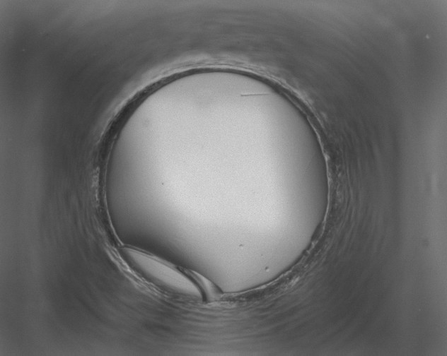 X0000082961503200702222326