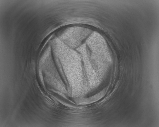 X0000082961505200702222326