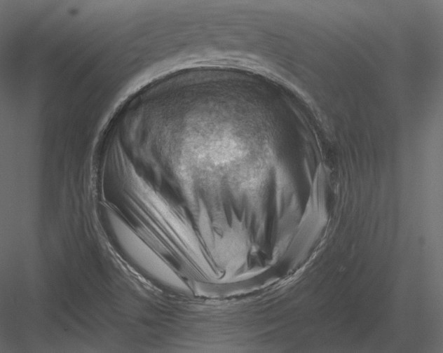 X0000082961506200702222326