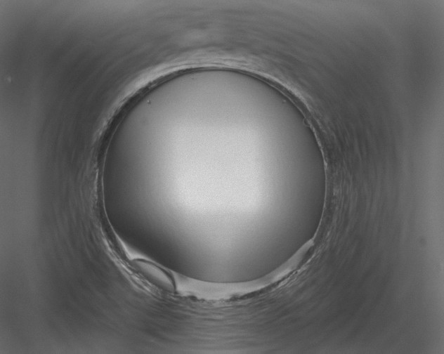 X0000082961507200702222326