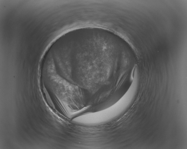 X0000082961508200702222326