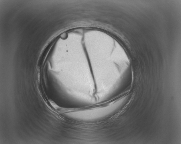 X0000082961509200702222326