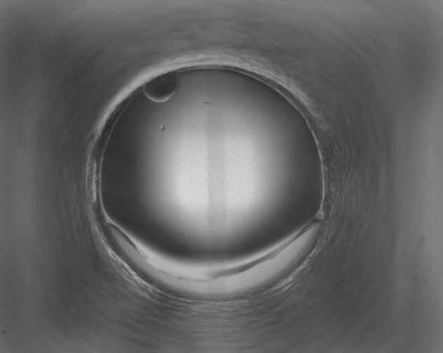 X0000082961510200702222326