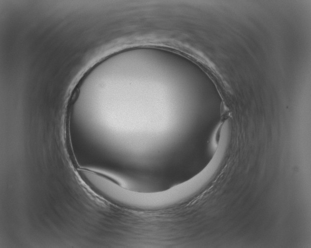 X0000082961512200702222326