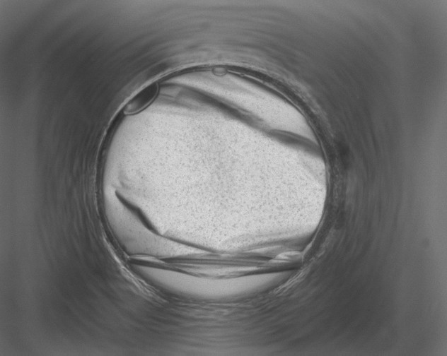 X0000082961513200702222326