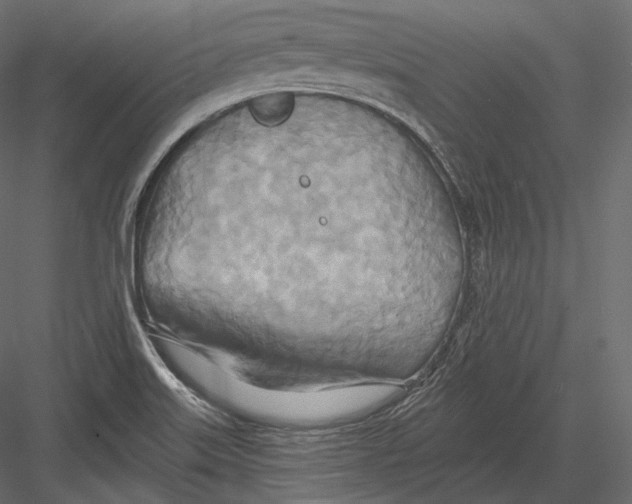 X0000082961515200702222326