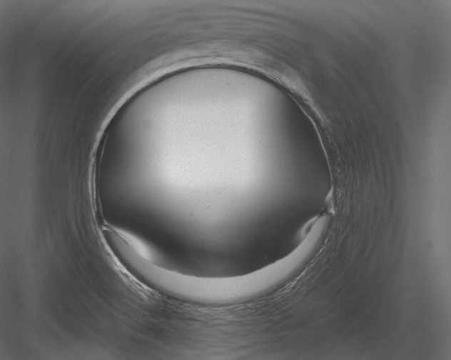 X0000082961516200702222326