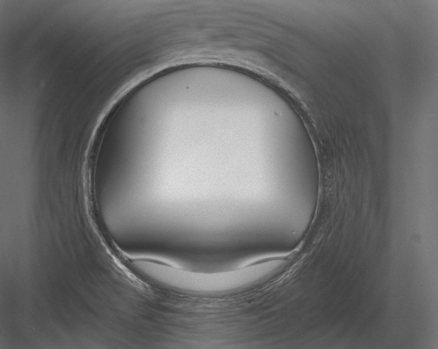 X0000082961517200702222326