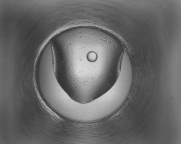 X0000082961518200702222326