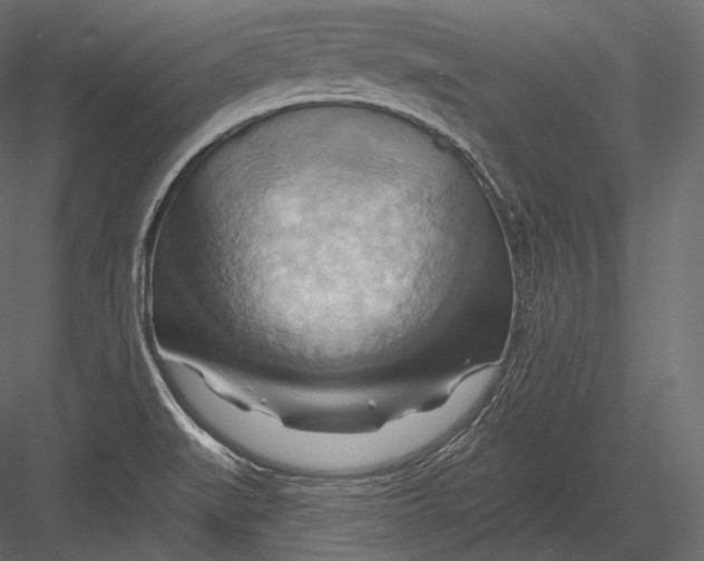 X0000082961519200702222326