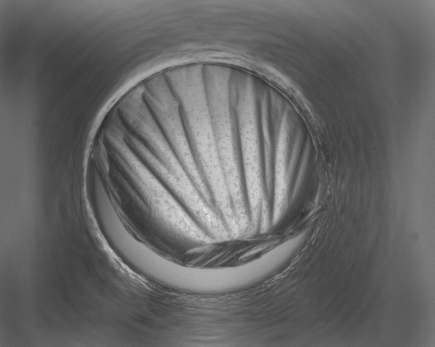 X0000082961520200702222326