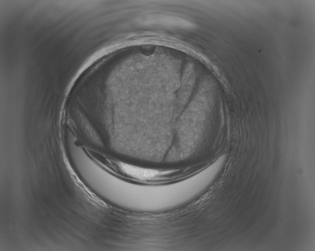 X0000082961522200702222326