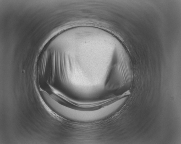 X0000082961523200702222326