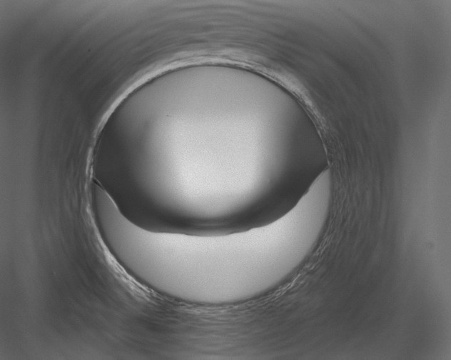 X0000082961524200702222326