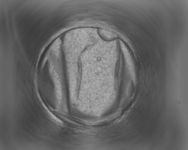 X0000082961525200702222326