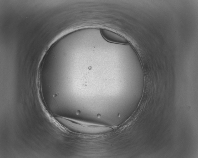 X0000082961526200702222326