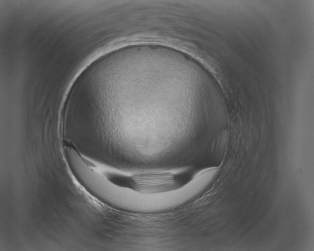 X0000082961527200702222326