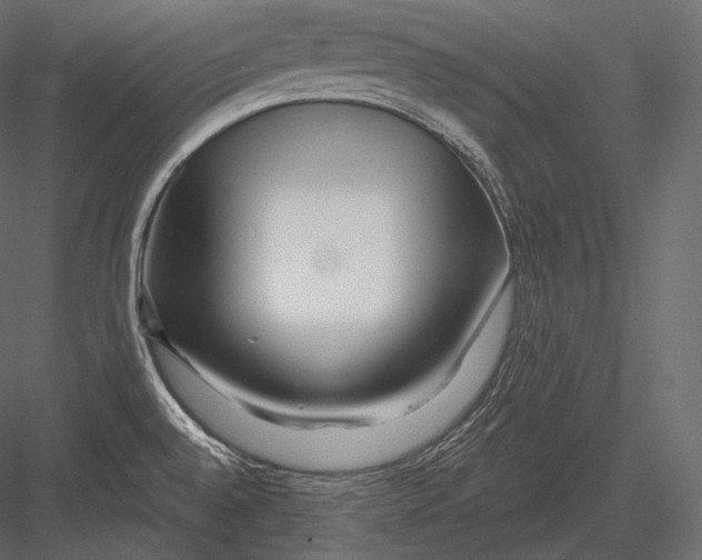 X0000082961528200702222326