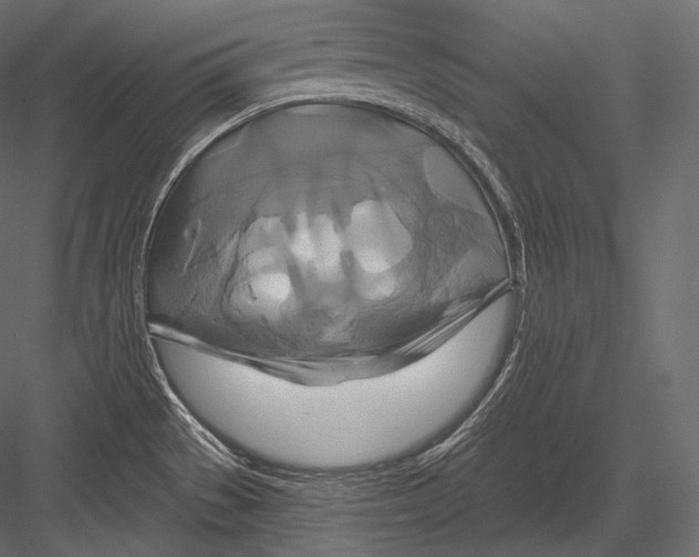 X0000082961529200702222326