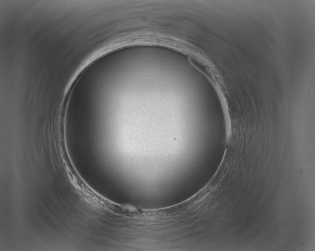 X0000082961530200702222326