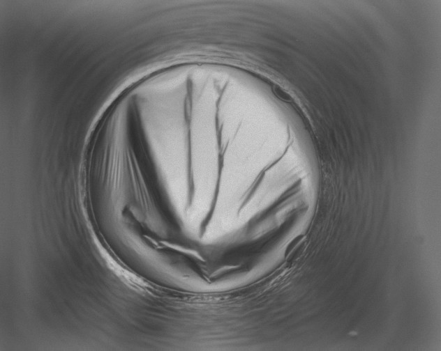 X0000082961531200702222326