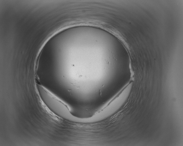 X0000082961532200702222326