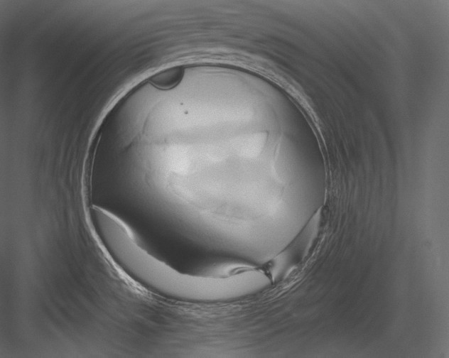 X0000082961533200702222326