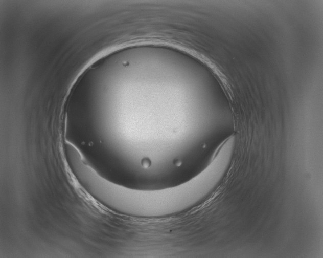 X0000082961534200702222326