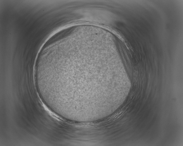 X0000082961535200702222326