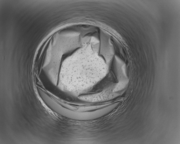 X0000082961536200702222326