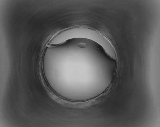 X0000082960001200703020222