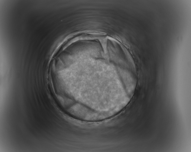 X0000082960002200703020222