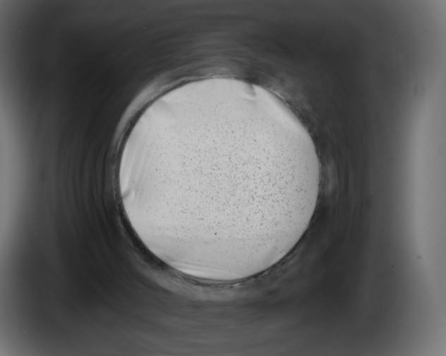 X0000082960004200703020222