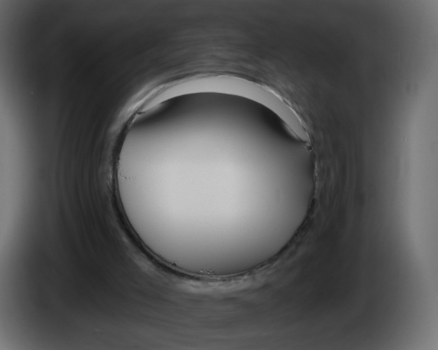 X0000082960005200703020222