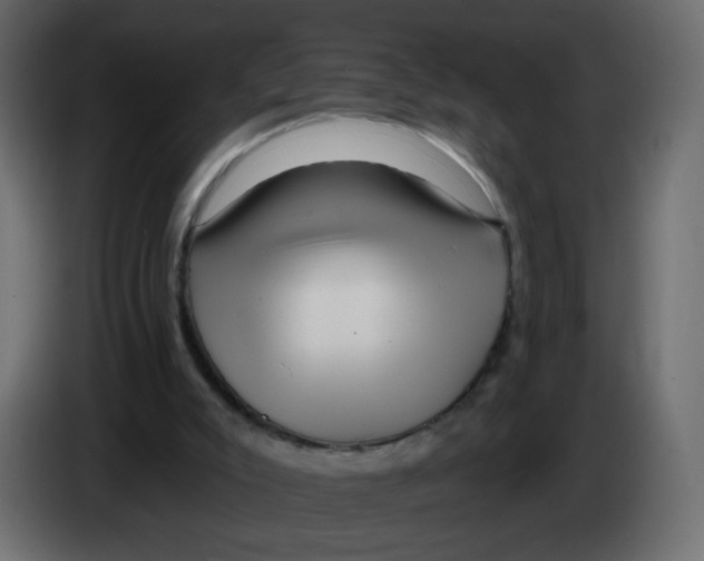 X0000082960007200703020222