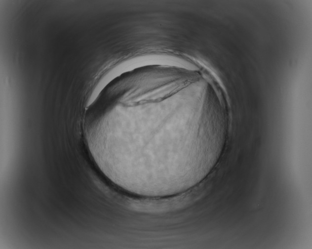 X0000082960009200703020222