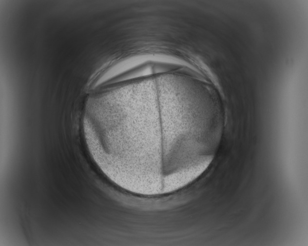 X0000082960010200703020222