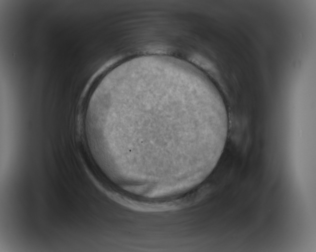 X0000082960012200703020222