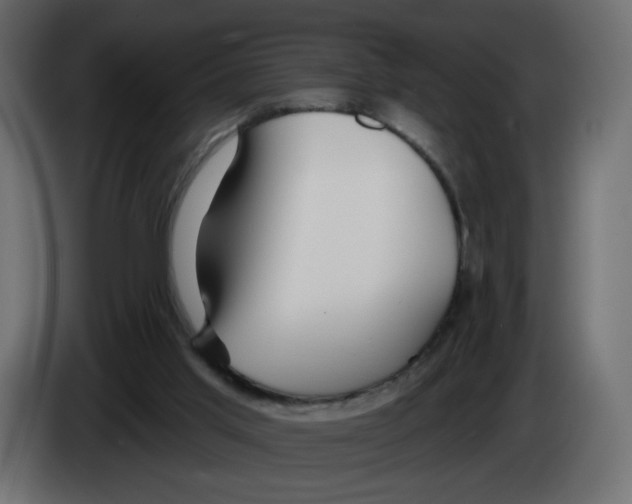 X0000082960013200703020222