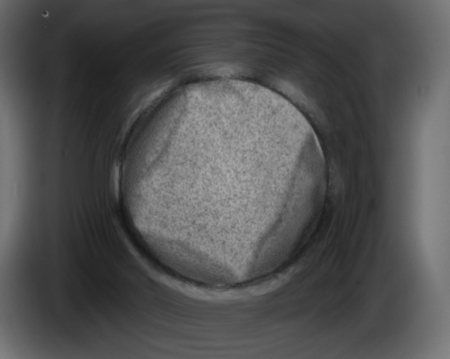 X0000082960014200703020222