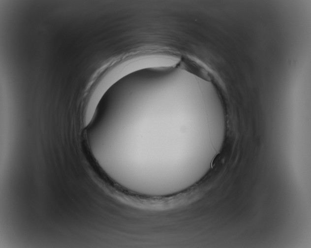 X0000082960015200703020222