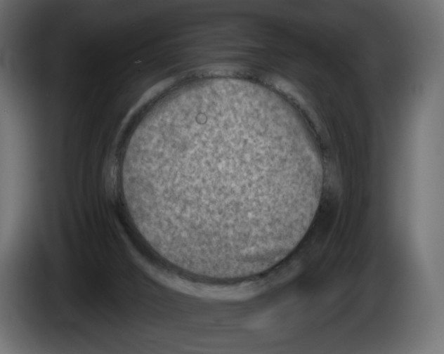 X0000082960016200703020222