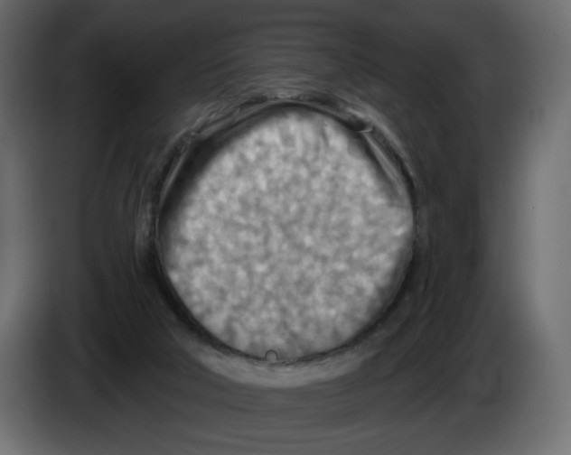 X0000082960018200703020222