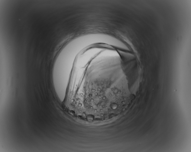 X0000082960019200703020222