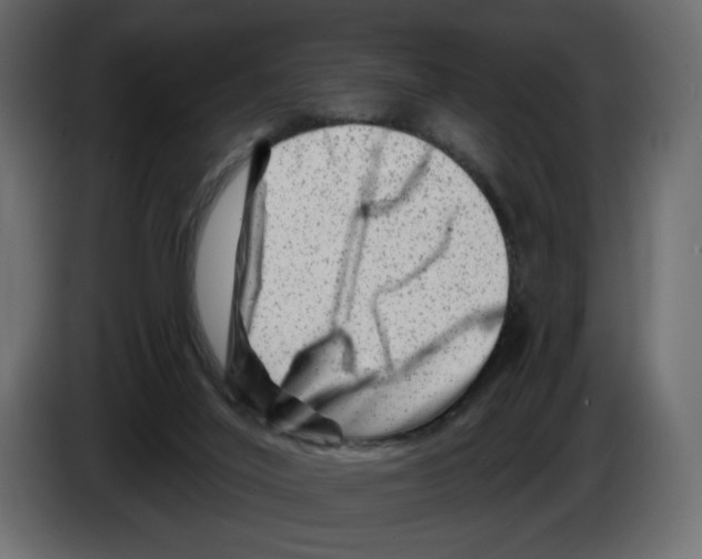 X0000082960020200703020222